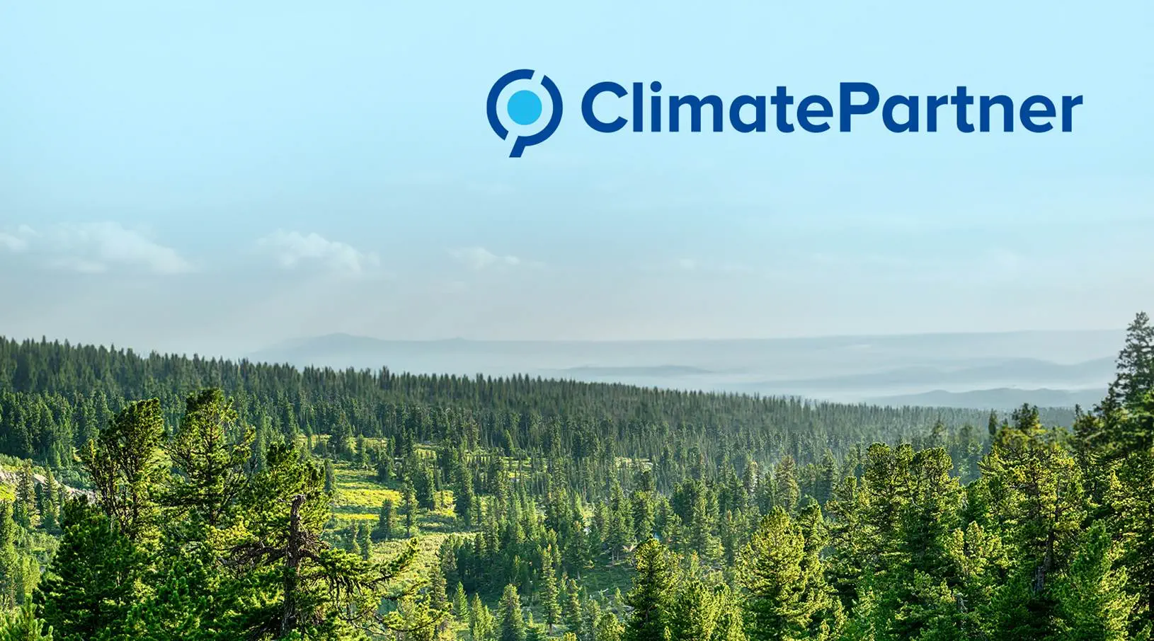 Climate Partner Harz Wald