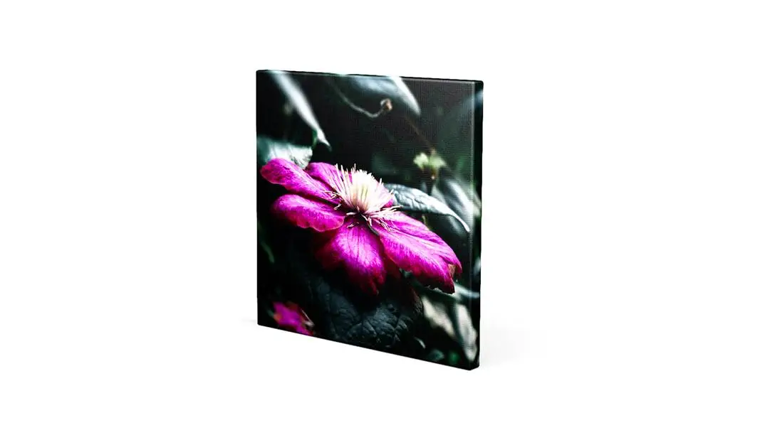 Canvas vierkant Artikel Canvas vierkant